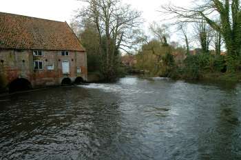 The cut leading to the staithe November 2002