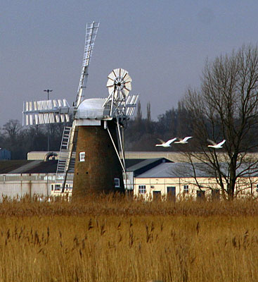February 2013 with Cantly sugar beet factory behind