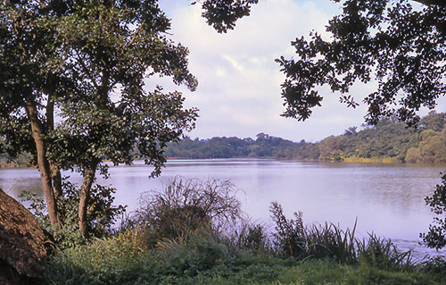 Antingham Lake - September 1967
