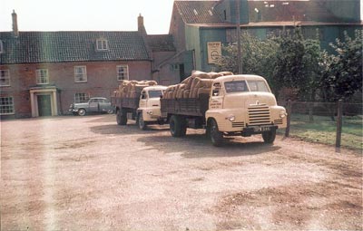 Mill lorries 1954