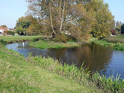 The old canal cut 12th October 2008