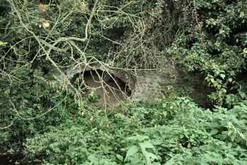 Dilham tailrace arch 19Oct2003