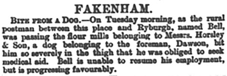 Norfolk News - 6th July 1889