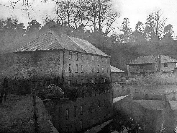 Mill rear August 1954