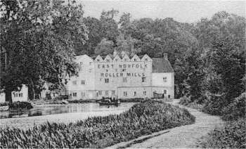 East Norfolk Roller Mills c.1900