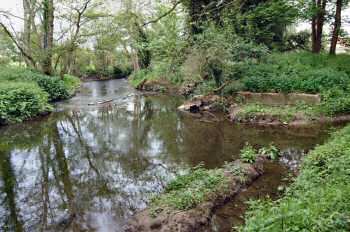Site of the weir May 2003 with the cut to the mill on the right